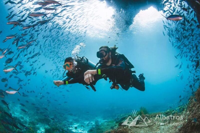 Scuba Diving toată ziua (2 scufundări intro)