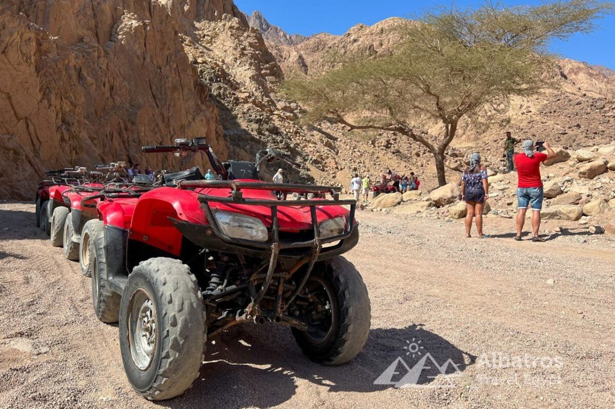 Safari Buggy + Camel + Quadbike-90