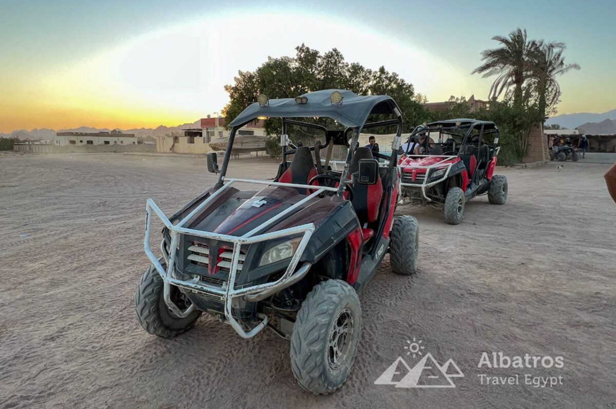 Safari Buggy + Camel-62