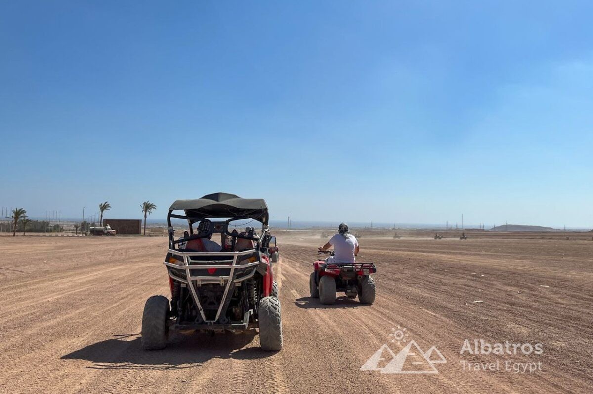 Safari Buggy + Camel + Quadbike-11