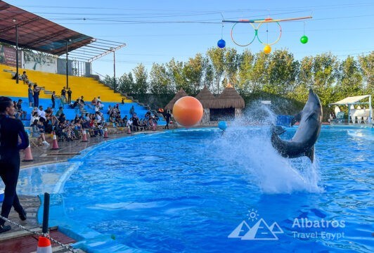 Dolphinarium in Sharm El Sheikh-53