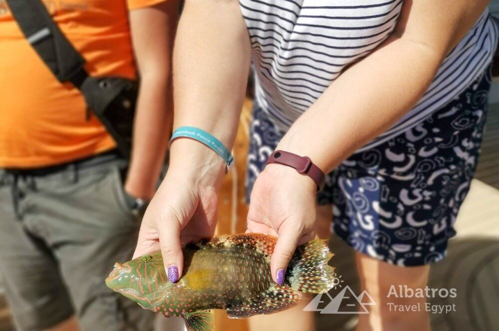 Fishing and snorkeling on a yacht in Hurghada-82