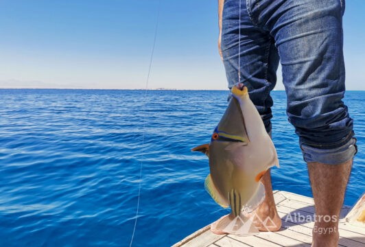 Fishing and snorkeling on a yacht in Hurghada-98