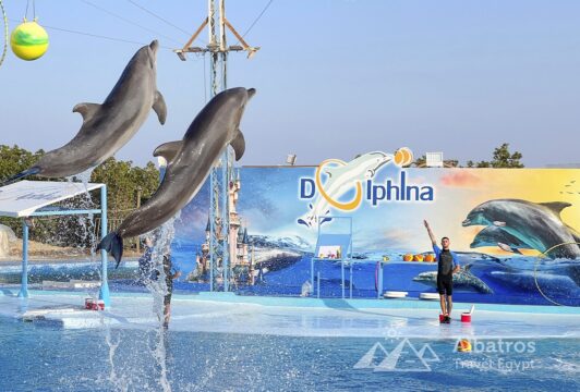 Dolphinarium-45