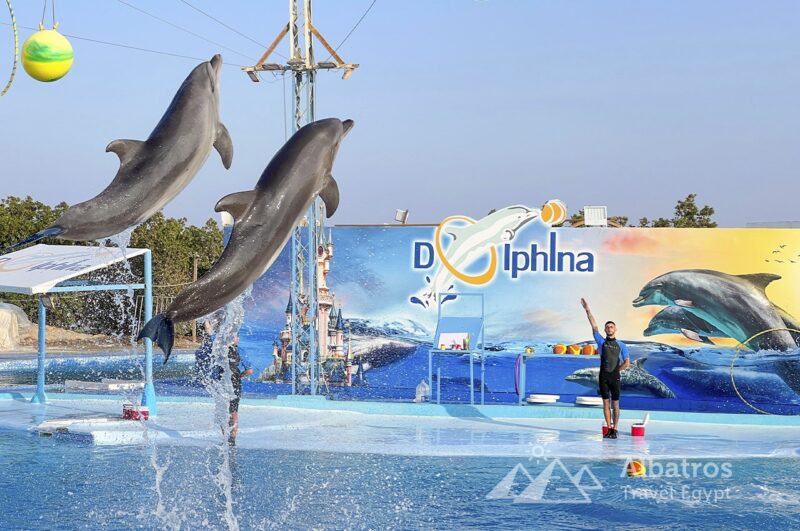 Dolphinarium