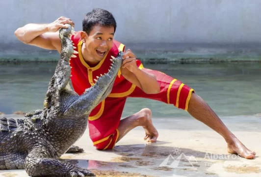 Crocodile show in Sharm El Sheikh-66